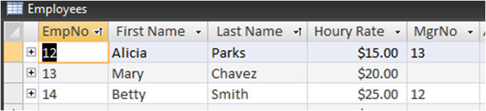 Employees Table Data